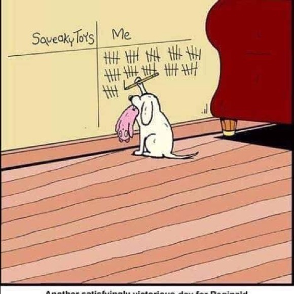 Meet your Posher, PG!!! - Picture 2 of 4